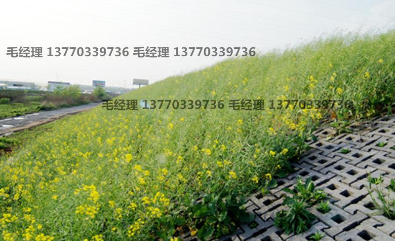 水工連鎖護坡磚 鉸鏈式連鎖護坡磚 河道景觀護坡磚 水工塊