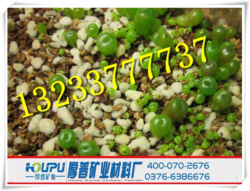 廣州珍珠巖粉錢噸生產廠家