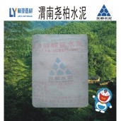 西安堯柏水泥廠價直銷/渭南堯柏水泥價格/咸陽堯柏水泥批發(fā)
